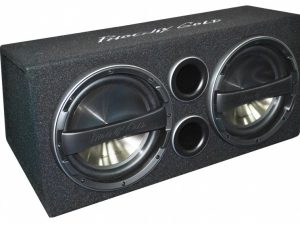 Phoenix Gold Z212AB 12-Inch (30cm) Dubbele actieve subwoofer box